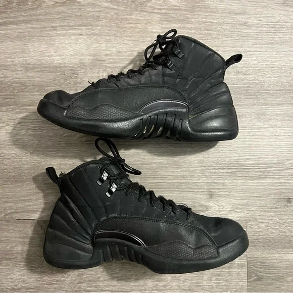 Nike Air Jordan 12 Winterized Triple Black - Picture 3 of 9